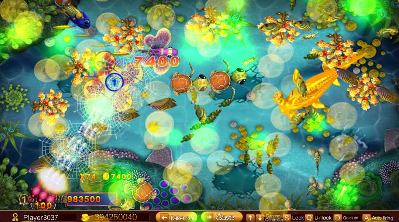 Lựa chọn loại bom cá phù hợp