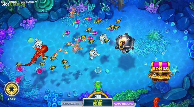 Tập trung vào các khu vực cá sinh sôi